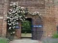 2010-0619-1240_Morden_Hall_Park_14C